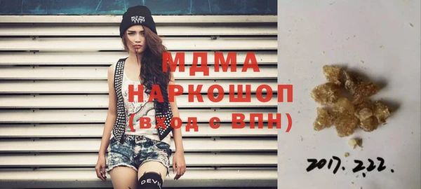 прущие грибы Елизово
