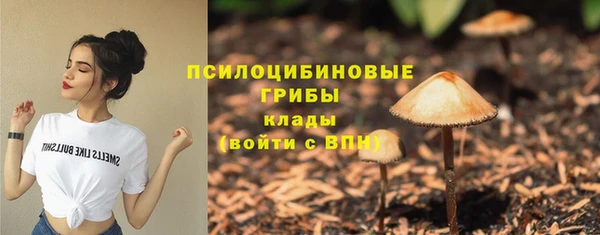 синтетический гашиш Заводоуковск