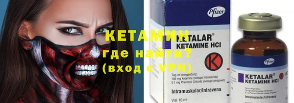 прущие грибы Елизово