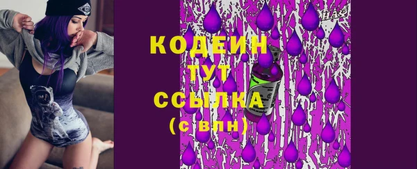 прущие грибы Елизово