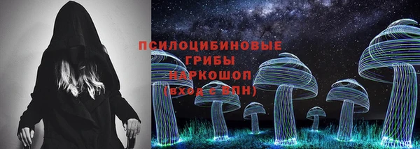 прущие грибы Елизово