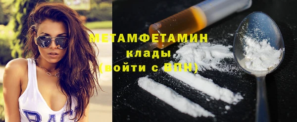 прущие грибы Елизово